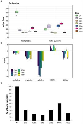 Identification of RNAi hypoallergic bread wheat lines for wheat-dependent exercise-induced anaphylaxis patients